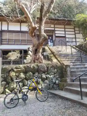 全洞院(埼玉県)