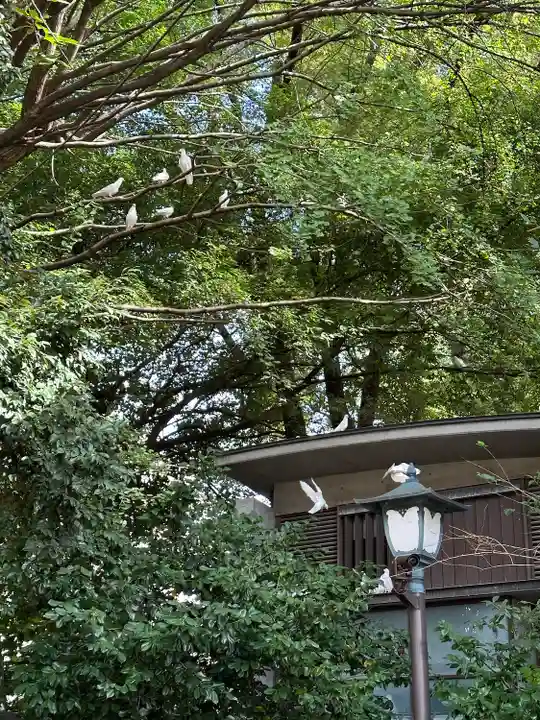 靖國神社(東京都)