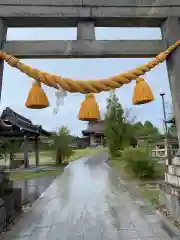 海椙神社の鳥居