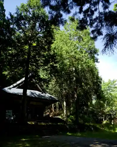 戸隠神社火之御子社(長野県)