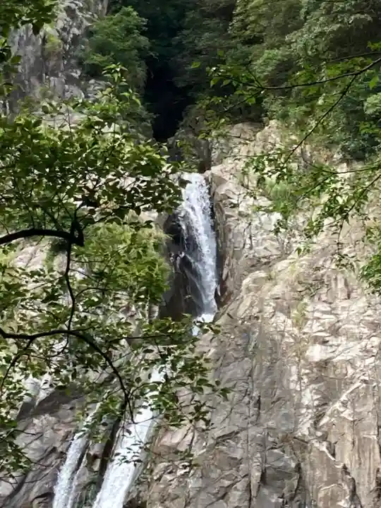 不動尊(布引の滝)の自然