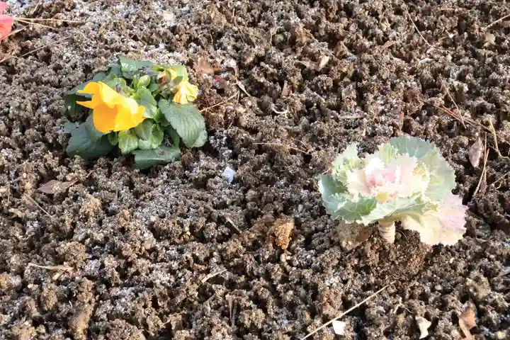 開成山大神宮の庭園