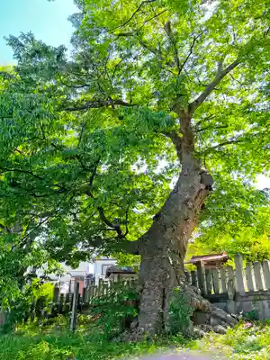 湯福神社(長野県)