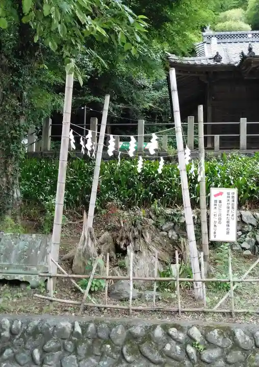 高尾山麓氷川神社の自然