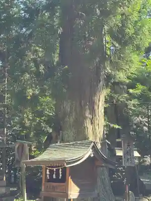 森水無八幡神社の{uncategorized: "未分類", other: "その他", undefined: "問題あり", building: "その他建物", grave: "お墓", sacred_gate: "鳥居", guardian: "狛犬", statue: "像", buddha: "仏像", history: "歴史", nature: "自然", garden: "庭園", animal: "動物", pagoda: "塔", temizu: "手水舎", mountain_gate: "山門・神門", sanctuary: "本殿・本堂", subordinate: "末社・摂社", art: "芸術", scenery: "景色", jizo: "地蔵", ema: "絵馬", goshuin: "御朱印", omikuji: "おみくじ", items: "授与品その他", amulet: "お守り", goshuincho: "御朱印帳", eats: "食事", festival: "お祭り", votive_dance: "神楽", shichigosan: "七五三参", wedding: "結婚式", experience: "体験その他", initially: "初詣", around: "周辺", anti_infection: "感染症対策"}