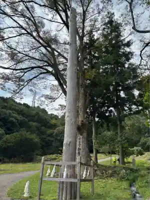 諏訪大社上社前宮(長野県)