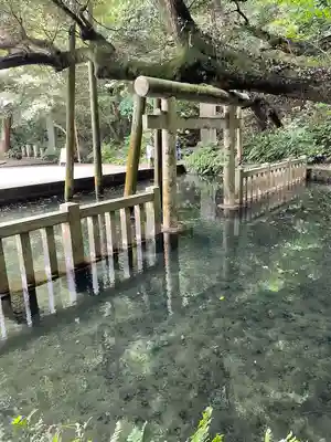 鹿島神宮(茨城県)