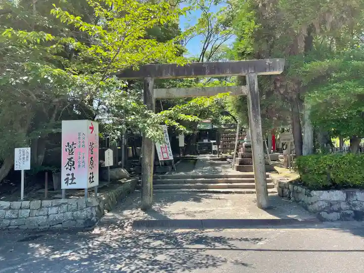 津島神社の鳥居