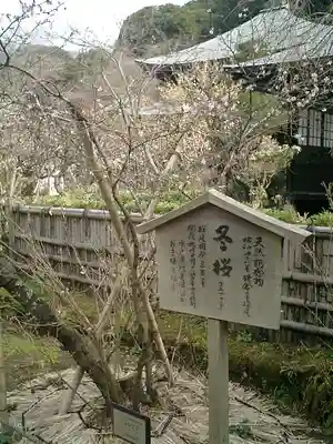 瑞泉寺のその他建物