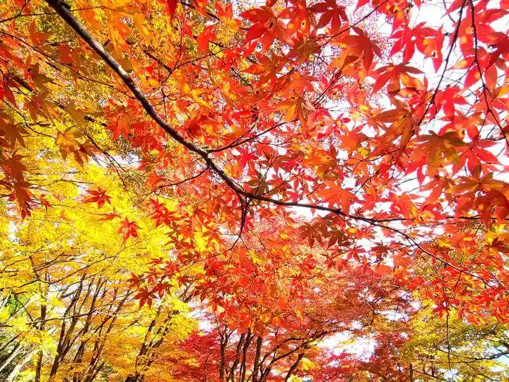 土津神社|こどもと出世の神さまの自然