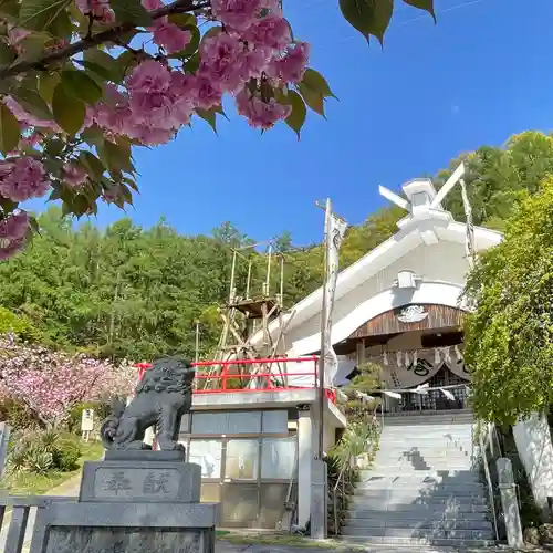 松尾宇蛇神社・白蛇神社の狛犬