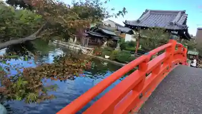 神泉苑(京都府)