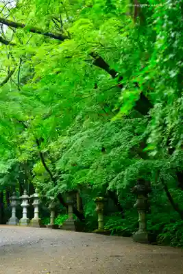 香取神宮(千葉県)