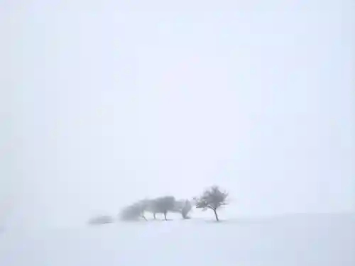山家神社奥宮の自然
