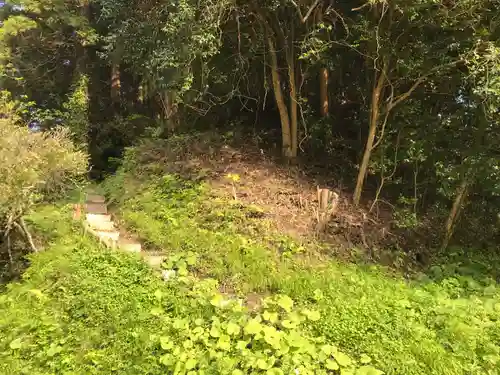 高藤山　妙勝寺の自然