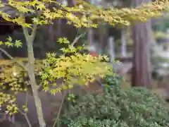 真禅院(岐阜県)