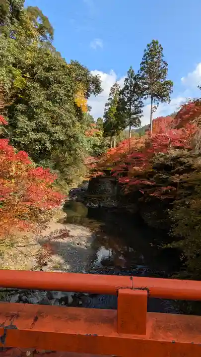 西明寺(京都府)