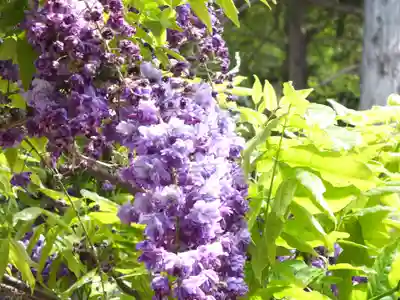 志那神社の自然
