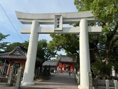 八代神社の{uncategorized: "未分類", other: "その他", undefined: "問題あり", building: "その他建物", grave: "お墓", sacred_gate: "鳥居", guardian: "狛犬", statue: "像", buddha: "仏像", history: "歴史", nature: "自然", garden: "庭園", animal: "動物", pagoda: "塔", temizu: "手水舎", mountain_gate: "山門・神門", sanctuary: "本殿・本堂", subordinate: "末社・摂社", art: "芸術", scenery: "景色", jizo: "地蔵", ema: "絵馬", goshuin: "御朱印", omikuji: "おみくじ", items: "授与品その他", amulet: "お守り", goshuincho: "御朱印帳", eats: "食事", festival: "お祭り", votive_dance: "神楽", shichigosan: "七五三参", wedding: "結婚式", experience: "体験その他", initially: "初詣", around: "周辺", anti_infection: "感染症対策"}