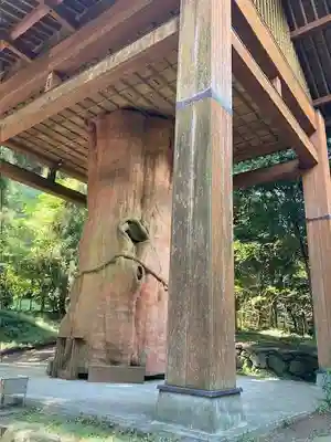 国造神社(熊本県)