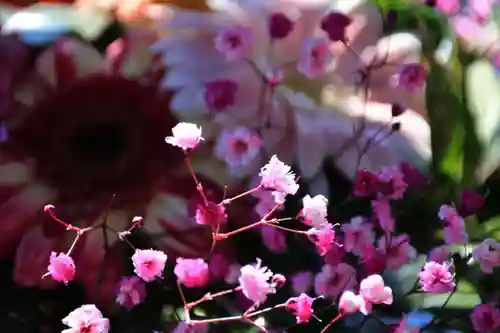 豊景神社の手水舎