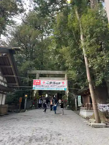 椿大神社の鳥居