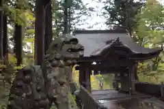 大神山神社奥宮の狛犬