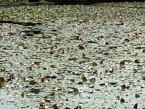 龍安寺(京都府)