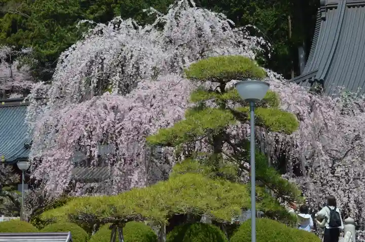 久遠寺(山梨県)