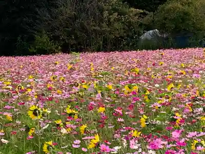 成身院　百体観音堂（さざえ堂）(埼玉県)