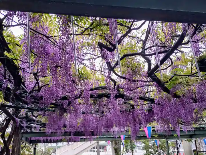 國領神社(東京都)