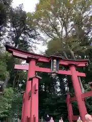 彌彦神社の鳥居