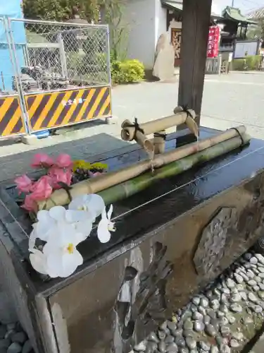 成田山川越別院の手水