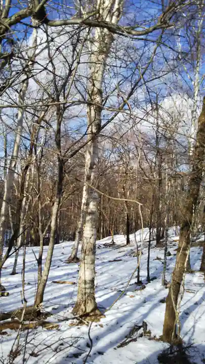 古峯神社の自然