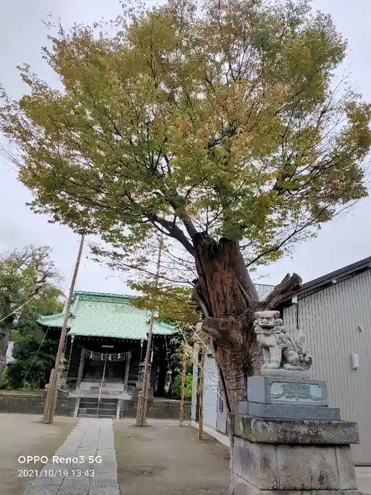 上妙典八幡神社の本殿・本堂