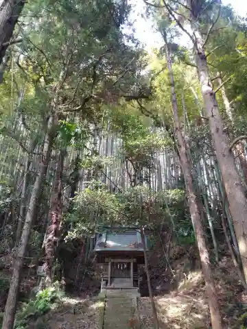 神社(名称不明)の本殿・本堂