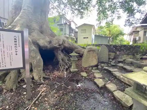 八坂神社の建物その他