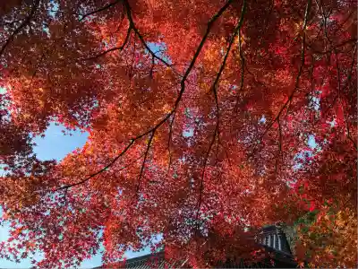 高山寺(兵庫県)