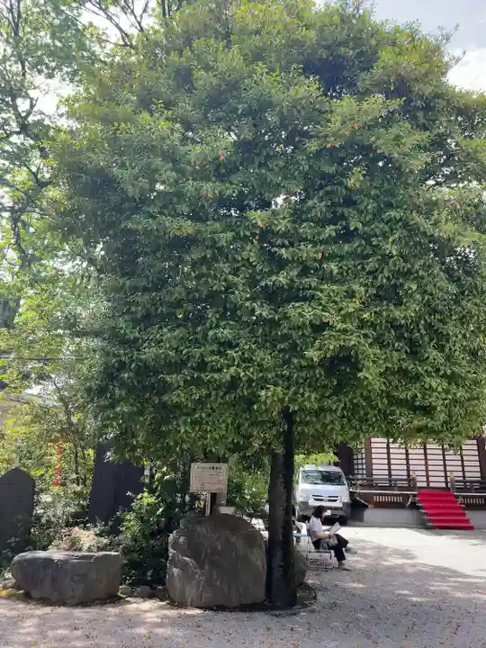 馬橋稲荷神社の自然