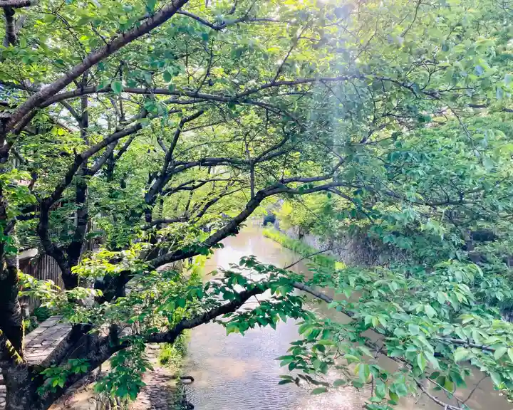 日牟禮八幡宮の自然