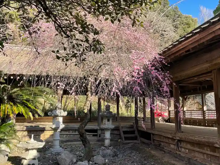 香春神社の自然
