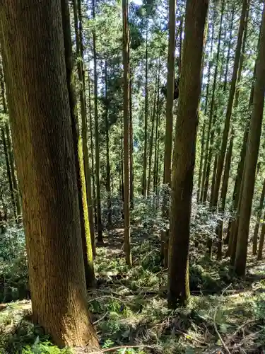 椿大神社(三重県)
