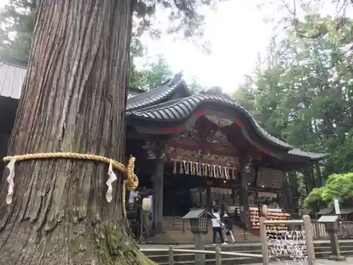 北口本宮冨士浅間神社の本殿