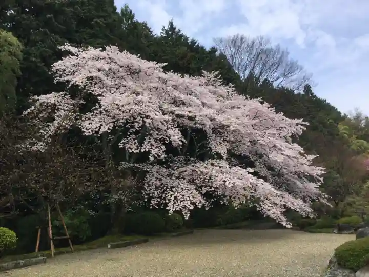 當麻寺(奈良県)