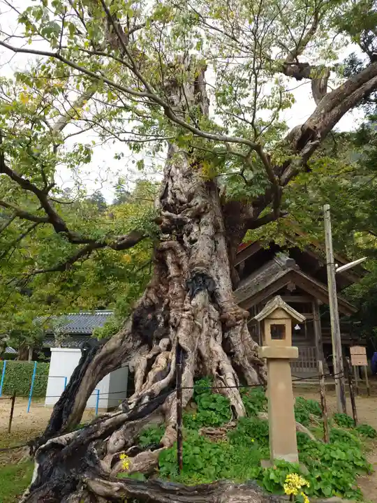 神魂伊能知奴志神社(島根県)