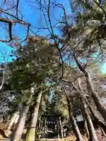 山家神社の鳥居