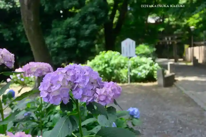 仙波東照宮(埼玉県)