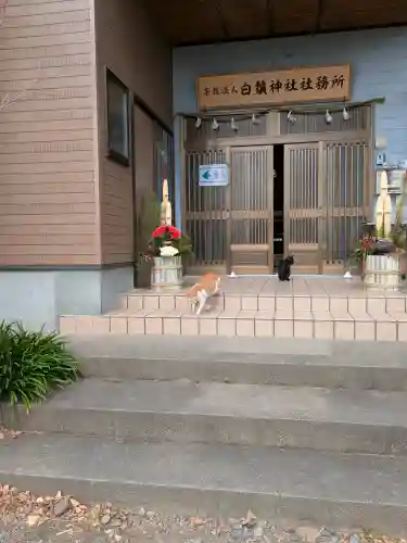 白鬚神社の{uncategorized: "未分類", other: "その他", undefined: "問題あり", building: "その他建物", grave: "お墓", sacred_gate: "鳥居", guardian: "狛犬", statue: "像", buddha: "仏像", history: "歴史", nature: "自然", garden: "庭園", animal: "動物", pagoda: "塔", temizu: "手水舎", mountain_gate: "山門・神門", sanctuary: "本殿・本堂", subordinate: "末社・摂社", art: "芸術", scenery: "景色", jizo: "地蔵", ema: "絵馬", goshuin: "御朱印", omikuji: "おみくじ", items: "授与品その他", amulet: "お守り", goshuincho: "御朱印帳", eats: "食事", festival: "お祭り", votive_dance: "神楽", shichigosan: "七五三参", wedding: "結婚式", experience: "体験その他", initially: "初詣", around: "周辺", anti_infection: "感染症対策"}