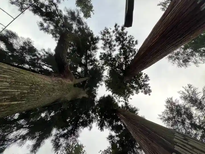 妙義神社(群馬県)