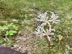 伊勢の国 四天王寺の自然